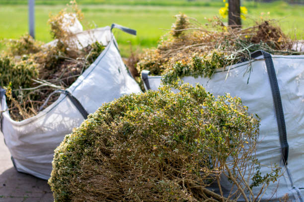 Best Trash Removal Near Me  in Lindenhurst, IL